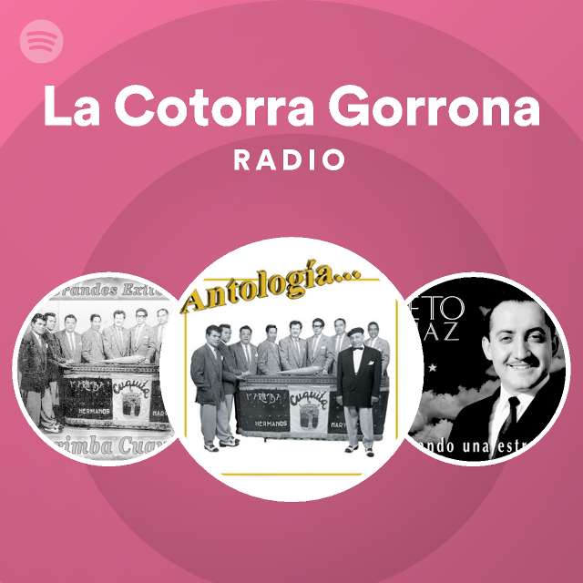 La Cotorra Gorrona Radio playlist by Spotify Spotify