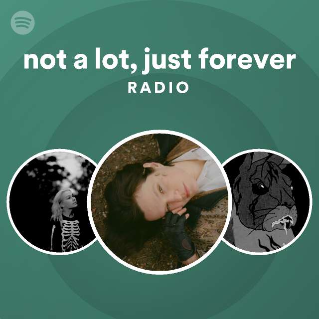 not-a-lot-just-forever-radio-spotify-playlist