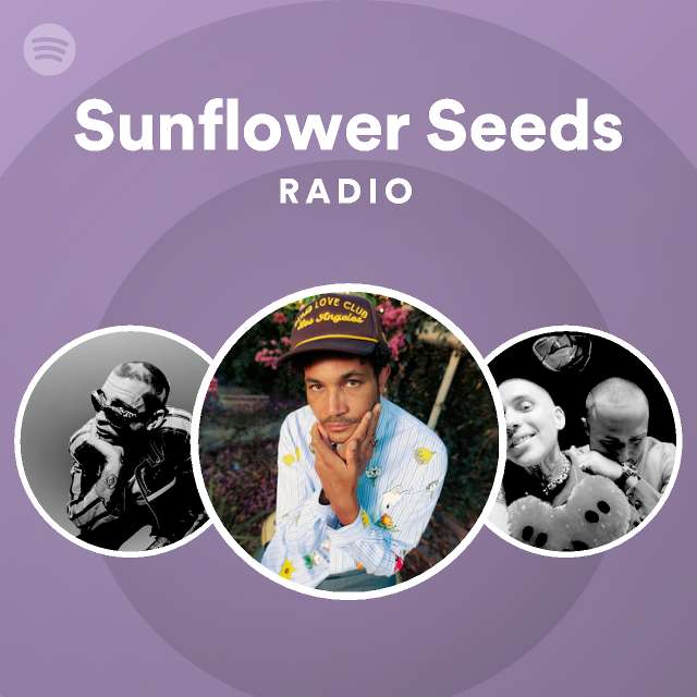 Sunflower Seeds Radio - playlist by Spotify | Spotify