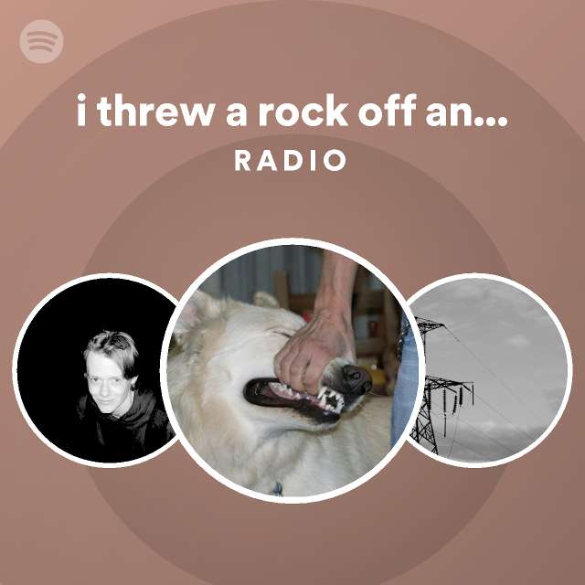 i-threw-a-rock-off-an-overpass-and-killed-a-guy-radio-playlist-by