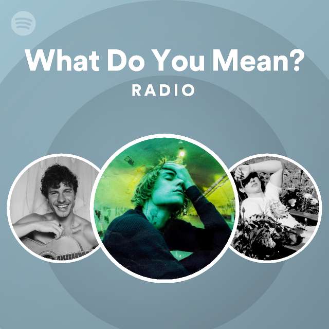 what-do-you-mean-radio-playlist-by-spotify-spotify