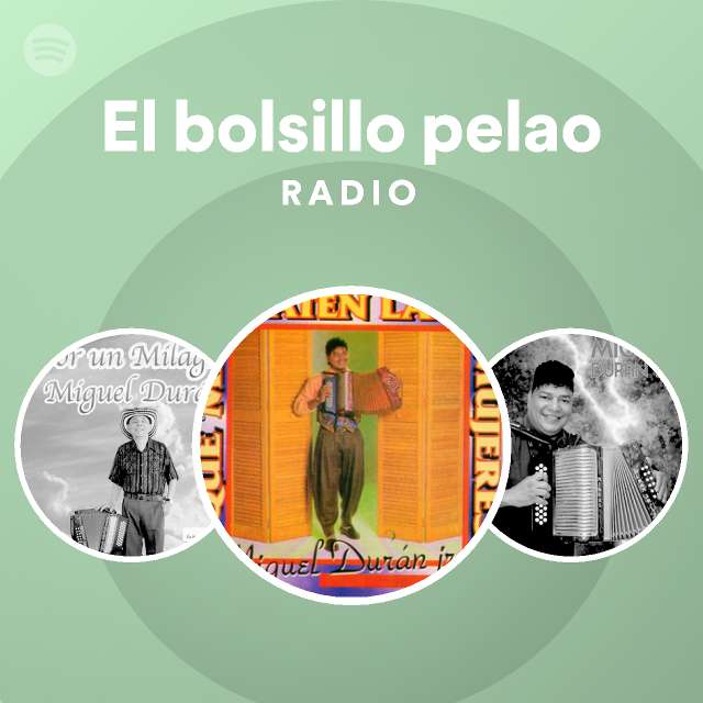 El bolsillo pelao Radio playlist by Spotify Spotify