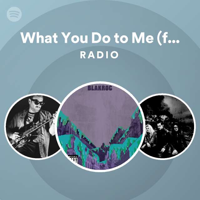 What You Do to Me (feat. Billy Danze, Jim Jones & Nicole Wray) Radio
