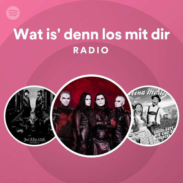 Wat is denn los mit dir radio playlist by spotify spotify