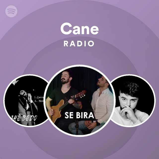 Cane Radio Playlist By Spotify Spotify