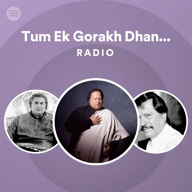 tum-ek-gorakh-dhanda-ho-radio-spotify-playlist