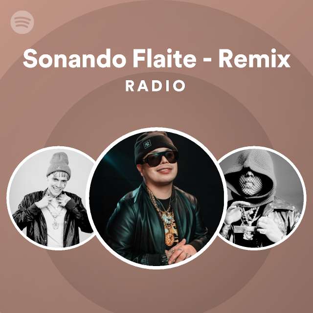 Sonando Flaite - Remix Radio - playlist by Spotify | Spotify