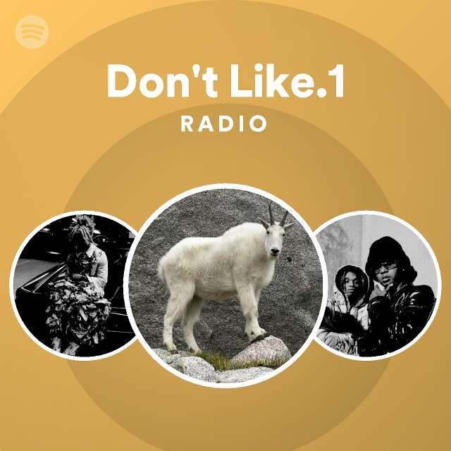 Don T Like 1