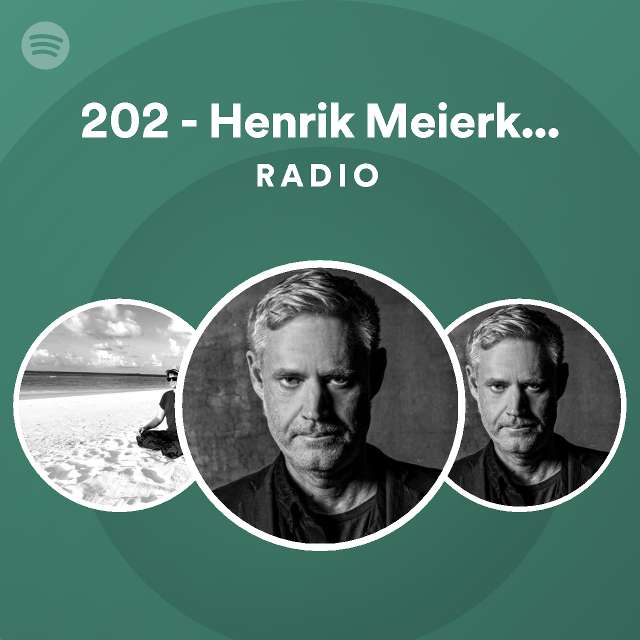 202 Henrik Meierkord Rework Radio Spotify Playlist