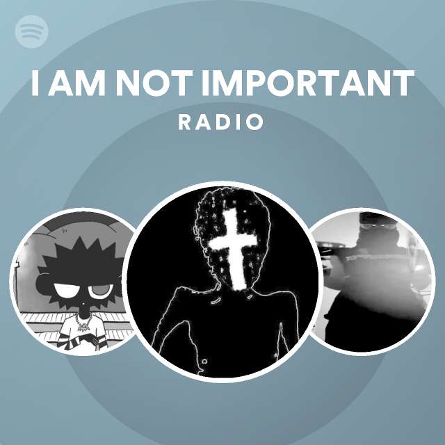I AM NOT IMPORTANT Radio Spotify Playlist