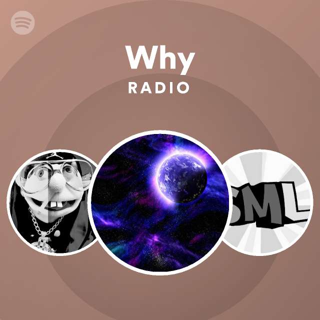 Why Radio playlist by Spotify Spotify