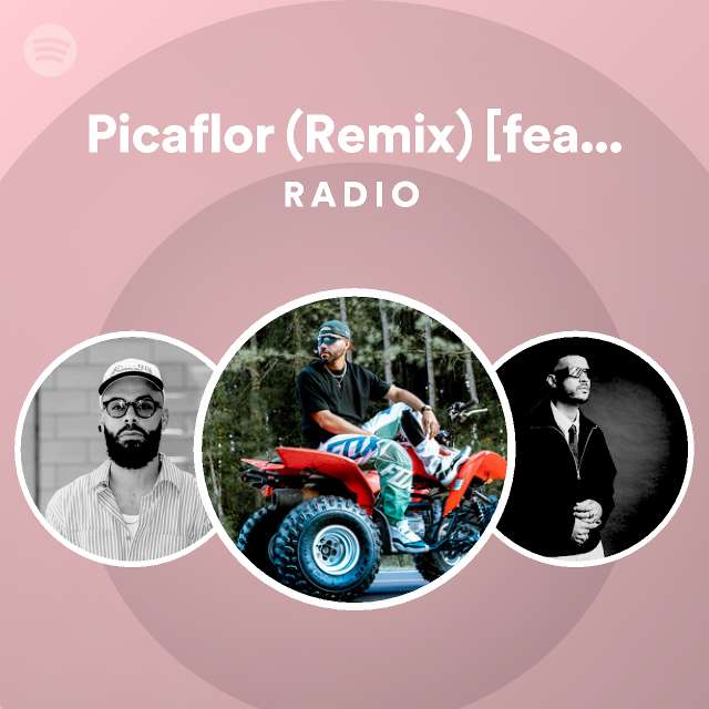 Picaflor (Remix) [feat. Indiomar & Jay Kayl] Radio playlist by