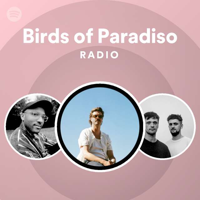 Birds Of Paradiso Radio Playlist By Spotify Spotify 7096