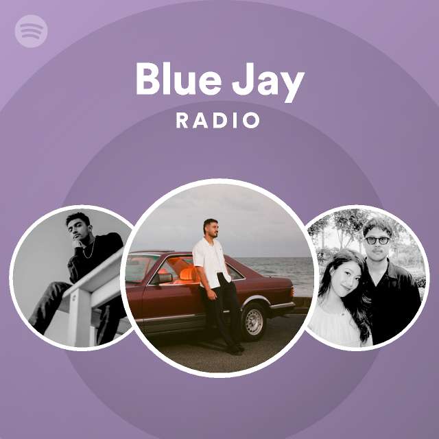 Blue Jay Radio - playlist by Spotify | Spotify
