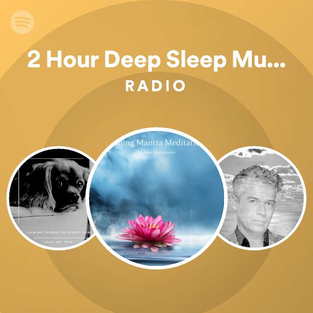 2 Hour Deep Sleep Music Vol 3 Radio Playlist By Spotify Spotify