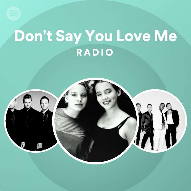 Dont Say You Love Me Radio Spotify Playlist 