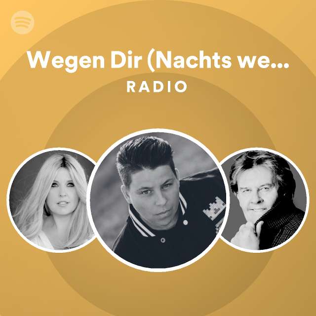 Wegen Dir (Nachts wenn alles schläft) Radio playlist by Spotify Spotify