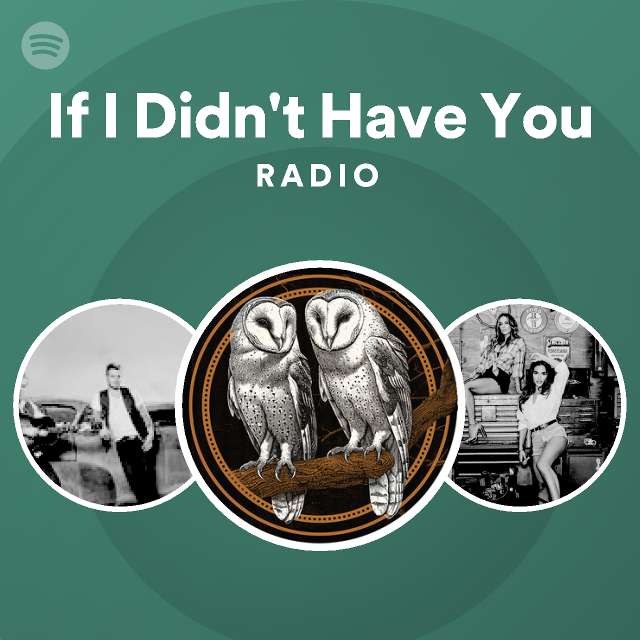 If I Didn't Have You Radio | Spotify Playlist