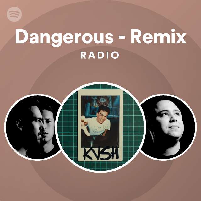Dangerous - Remix Radio - playlist by Spotify | Spotify