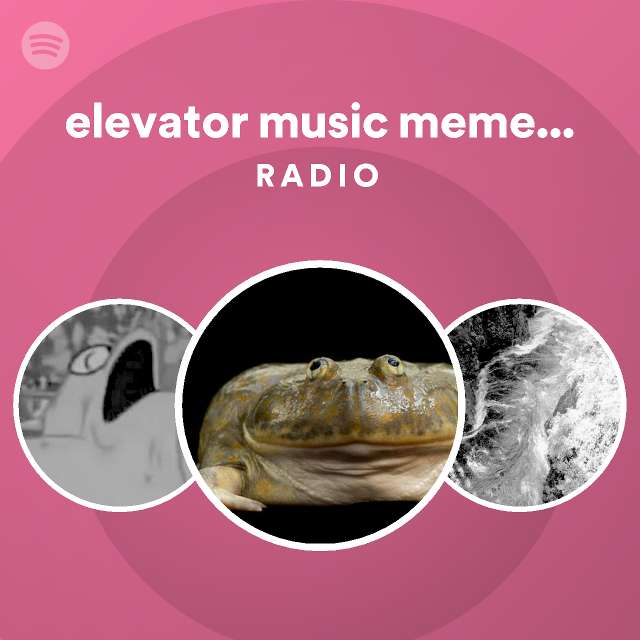 elevator music meme song (TRAP) Radio playlist by Spotify Spotify