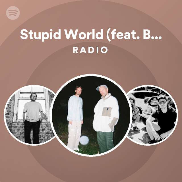 Stupid World (feat. Bibi Bourelly) Radio playlist by Spotify Spotify