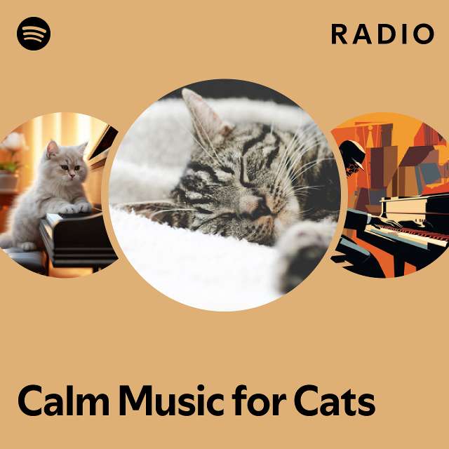 Music that best sale calms cats