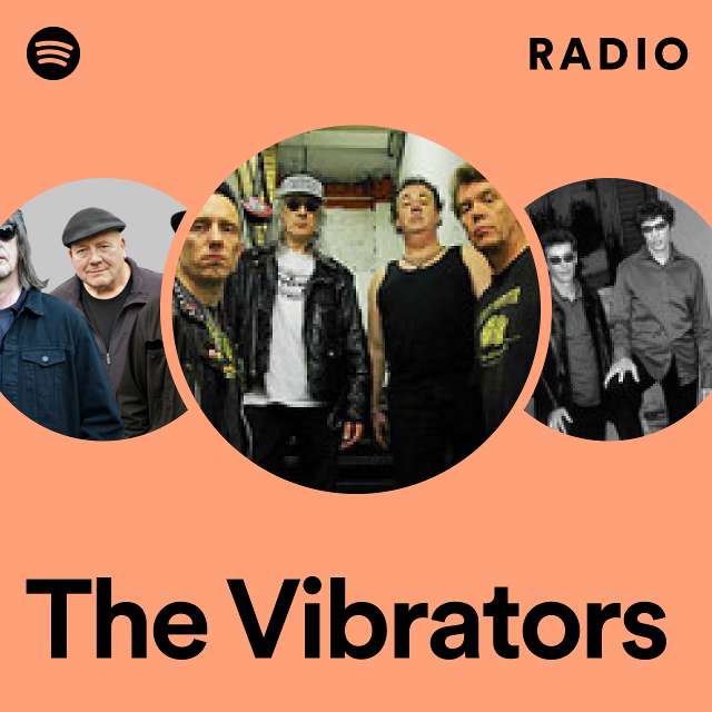 Imagem de The Vibrators