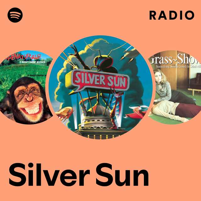 Silver Sun | Spotify