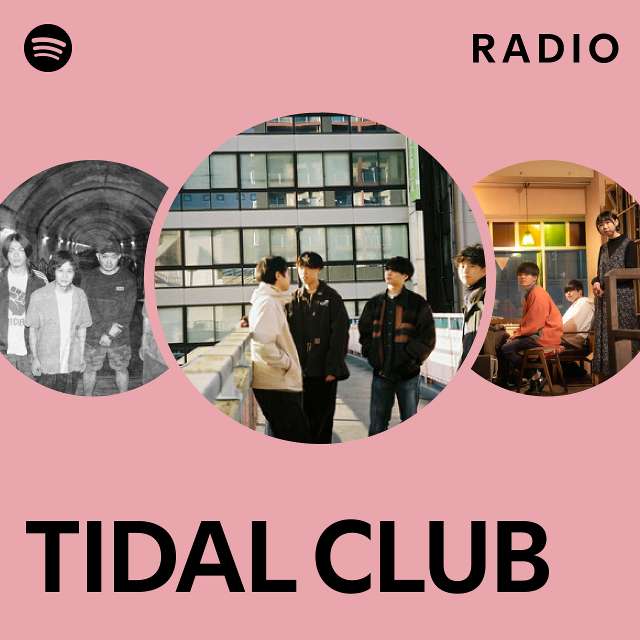 Tidal radio on sale