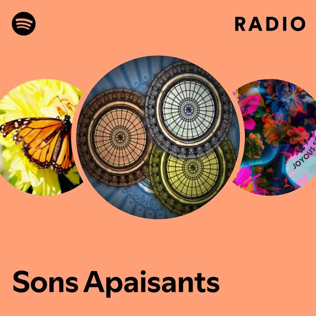 Thérapie par le bruit blanc/Sommeil de bébé Radio - playlist by Spotify