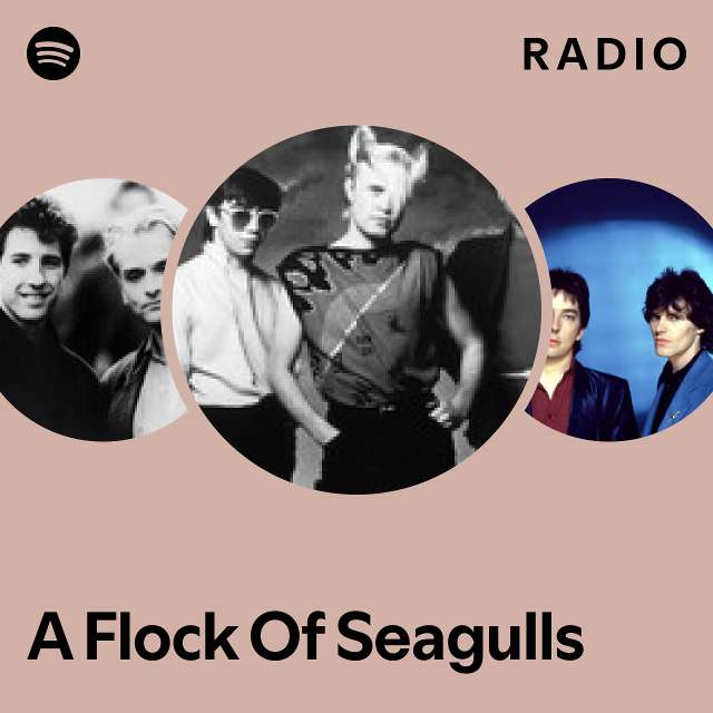 Imagem de A Flock of Seagulls