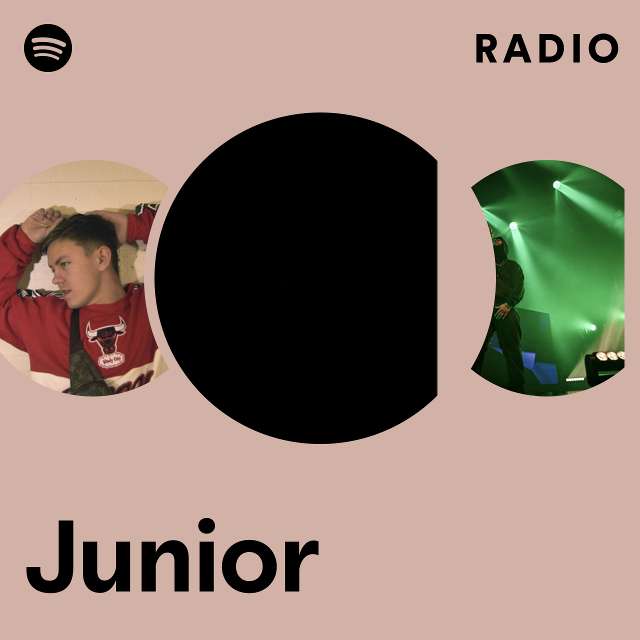 Waldir Junior Radio - playlist by Spotify