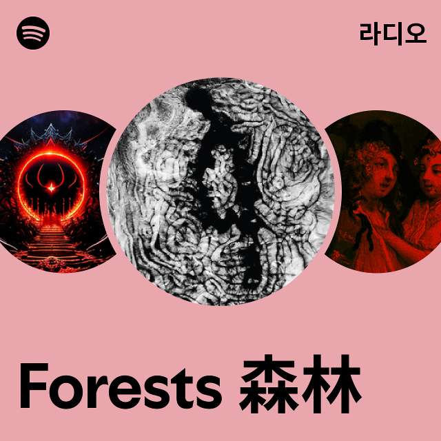 Forests 森林 라디오 - playlist by Spotify | Spotify Forests 森林 라디오