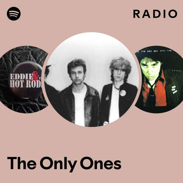 The Only Ones | Spotify