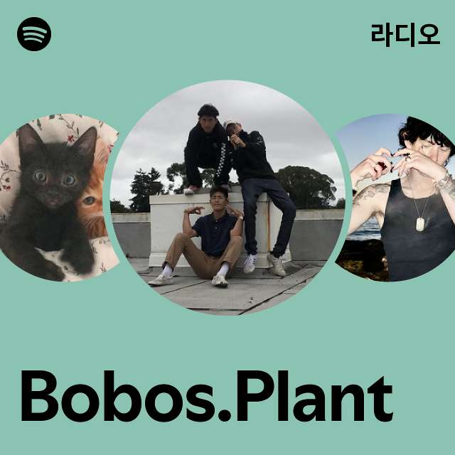 Bobos.Plant | Spotify Bobos.Plant