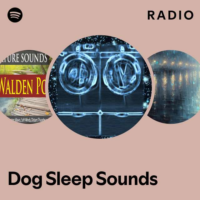 Sounds for dogs to sales sleep