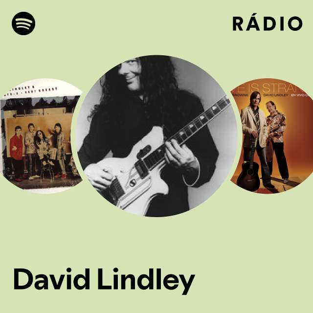 GINGER掲載商品 帯付き！国内盤！David Lindley / Mr. Dave