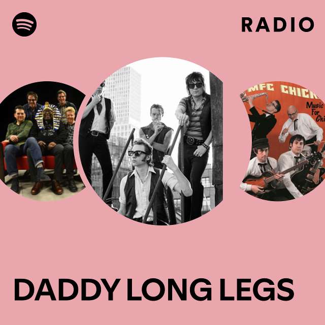 Silver Satin  DADDY LONG LEGS