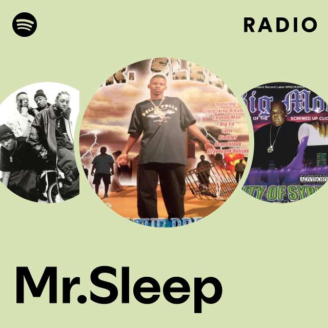 Mr.Sleep | Spotify