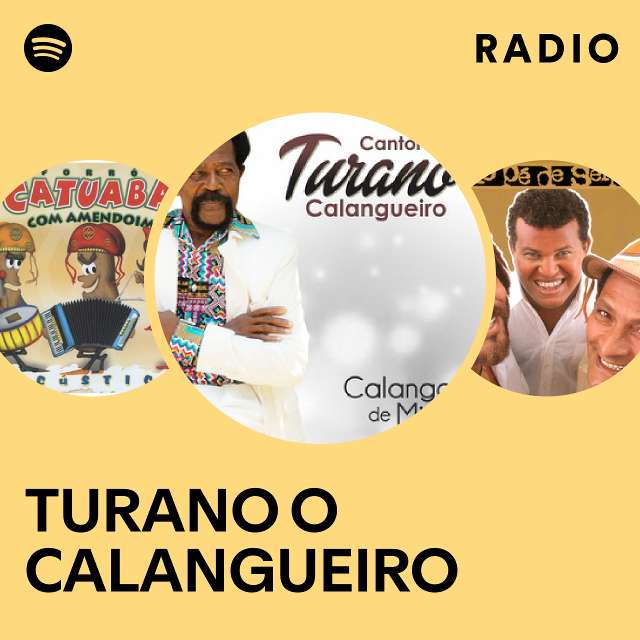 Pião Brasil Radio - playlist by Spotify