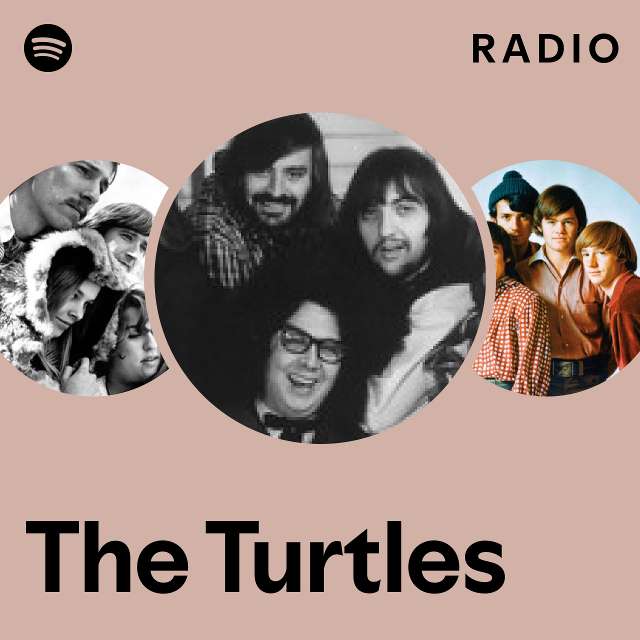 The Turtles