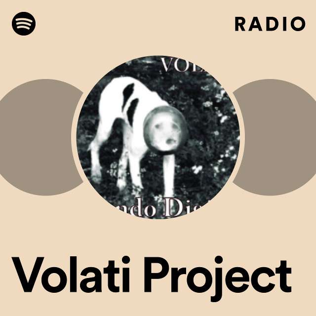 Imagem de Volati Project