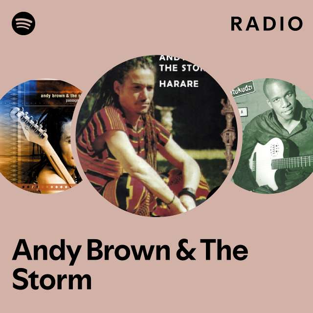 Andy Brown The Storm Spotify