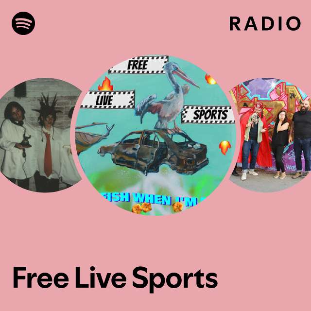 sport mp3 player spotify