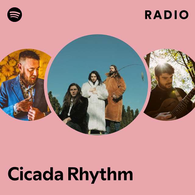 Cicada Rhythm - Store