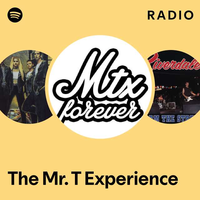 The Mr. T Experience | Spotify