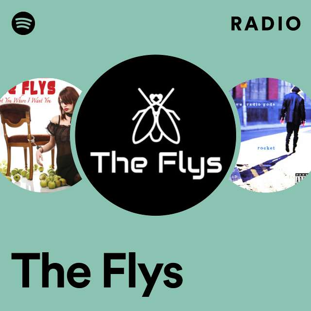 Imagem de The Flys