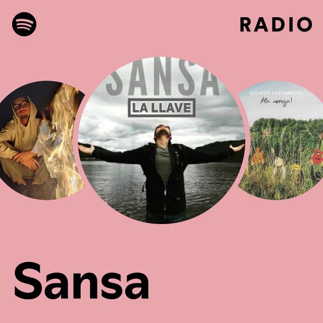 PLACA DE MADERA CANCIÓN FAVORITA SPOTIFY – SanSa Creaciones