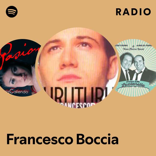 Francesco Boccia Spotify