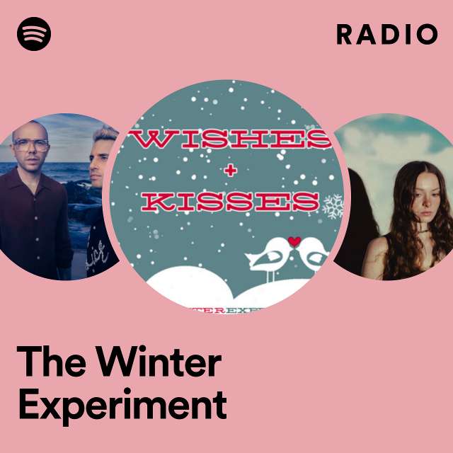 Imagem de The Winter Experiment